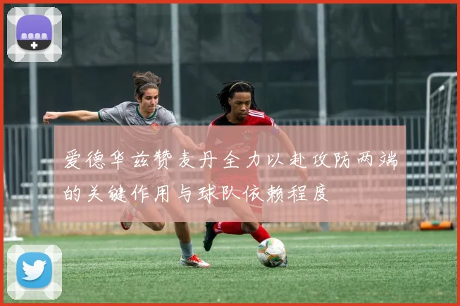 爱德华兹赞麦丹全力以赴攻防两端的关键作用与球队依赖程度
